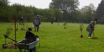 Eine Streuobstwiese am Steinhorster-Schiphorster Moor entsteht