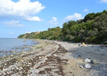 GeoOstsee: Steinwanderung – Brook