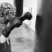 Boxen und Bewegung für KIDS