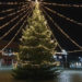 Büchen: Weihnachtsmarkt mit finnischen Spezialitäten
