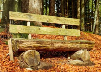 Wie goht wü mit dat Öllerwarrn üm?