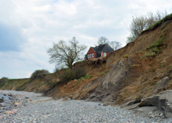 Bernsteine, Fossilien, Mineralien und alte Gesteine