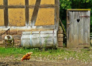 Innovativen Wohn-, Pflege- und Betreuungsangeboten auf Bauernhöfen