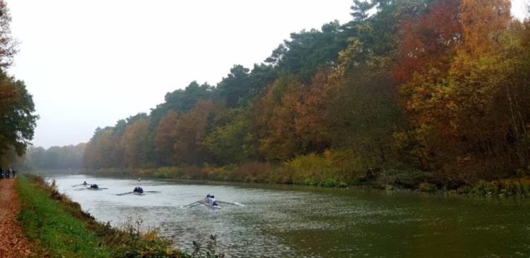 Langstreckenrennen der Ruderer auf dem Elbe-Lübeck-Kanal