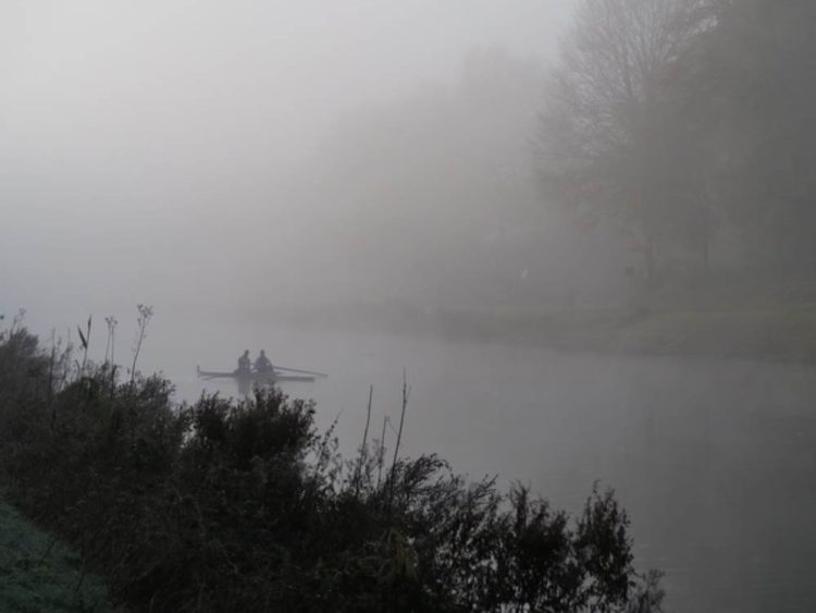 Langstreckenrennen der Ruderer auf dem Elbe-Lübeck-Kanal