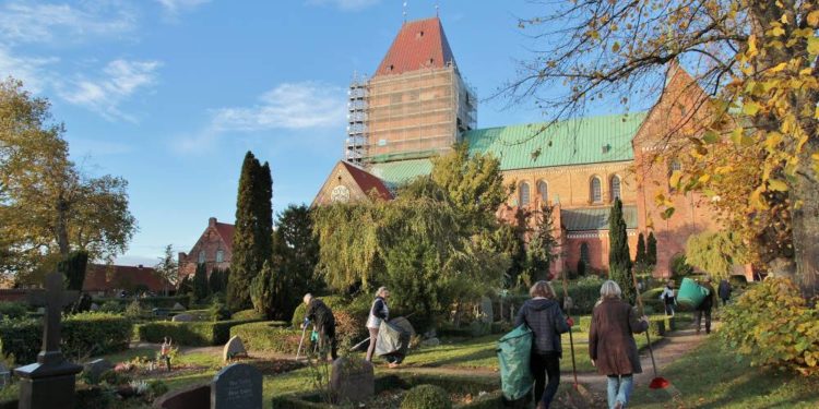 Alle Jahre wieder: Laubharken am Dom
