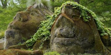 Märchen? Nur für Erwachsene!