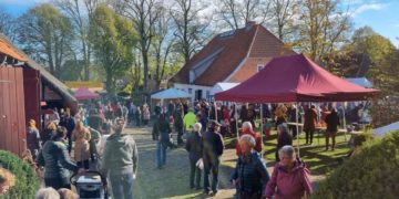 Martinsmarkt auf dem Ziethener Pfarrhof