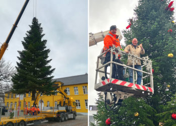 Ratzeburg schmückt sich für die Weihnachtszeit