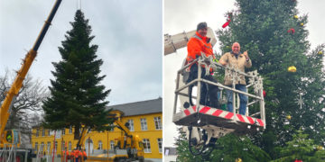 Ratzeburg schmückt sich für die Weihnachtszeit