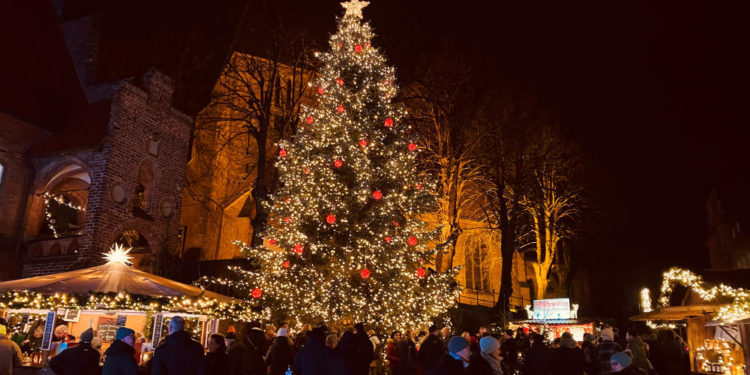Die Zeit steht still auf dem Möllner Weihnachtsmarkt