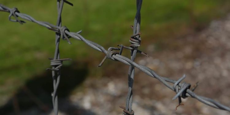 Schleswig-Holstein in der NS-Zeit – was und wie erinnern wir?