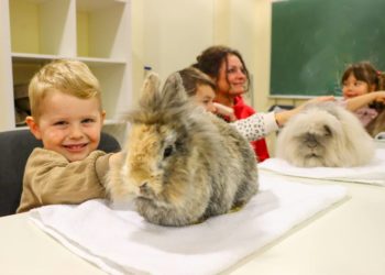 Plüschiger Besuch in der Weihnachtszeit
