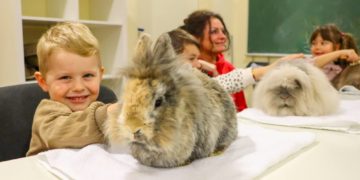 Plüschiger Besuch in der Weihnachtszeit