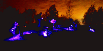 GeoPark Weihnachts- und Silvesterspecial