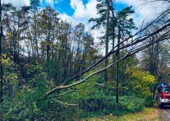 November 2023: Ehrenamtler der Möllner Feuerwehr verzeichnen 19 Einsätze