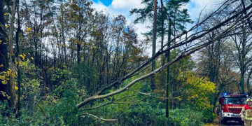 November 2023: Ehrenamtler der Möllner Feuerwehr verzeichnen 19 Einsätze