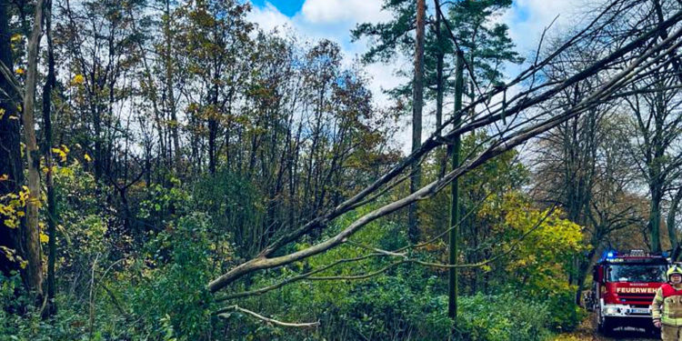 November 2023: Ehrenamtler der Möllner Feuerwehr verzeichnen 19 Einsätze