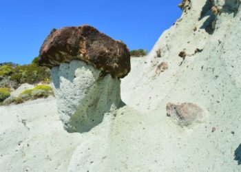 Schätze suchen – Zusammenhänge verstehen