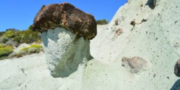 Schätze suchen – Zusammenhänge verstehen