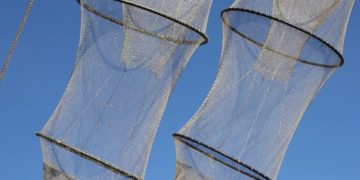 Statement von Fischereiminister Werner Schwarz 