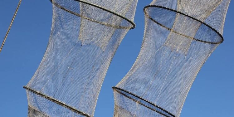 Statement von Fischereiminister Werner Schwarz