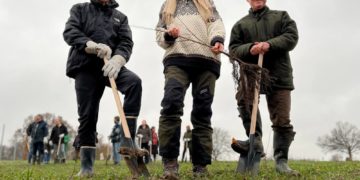 KSK investiert 40.000 Euro für den Klimaschutz