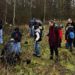 Neupflanzung im Ratzeburger Medizinwald