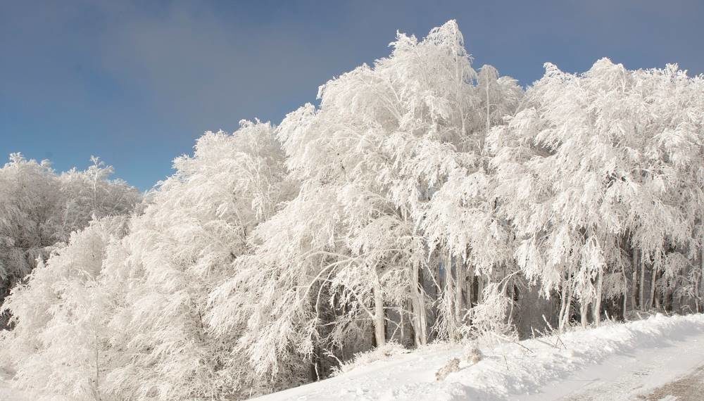 Rilke op Platt – ein Weihnachtsgedicht