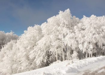Rilke op Platt – ein Weihnachtsgedicht