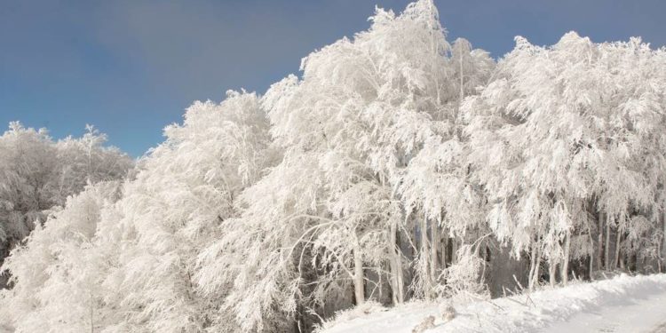 Rilke op Platt – ein Weihnachtsgedicht