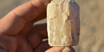 Erste Tagesexkursion des GeoParks Nordisches Steinreich