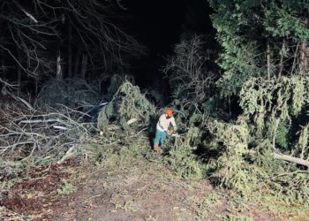 20-mal wurde die Möllner Feuerwehr im Dezember 2023 benötigt  