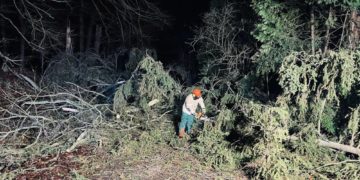 20-mal wurde die Möllner Feuerwehr im Dezember 2023 benötigt  