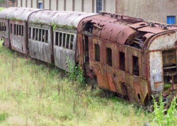 „Wer ein Leben rettet…“