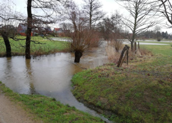 Grüner Antrag für nachhaltiges Flächenmanagement in Büchen abgelehnt