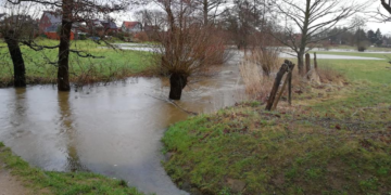 Grüner Antrag für nachhaltiges Flächenmanagement in Büchen abgelehnt