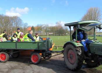 Dorfreinigung 2024 – Frühjahrsputz