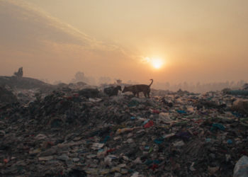 „Plastic Fantastic“-Dokumentation im Filmclub