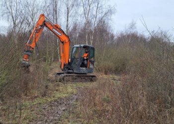 Naturweide am Salemer Moor
