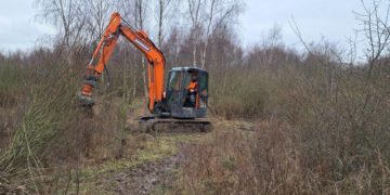 Naturweide am Salemer Moor