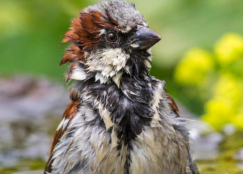 Multivisionsabende mit Roland Günter im Augustinum