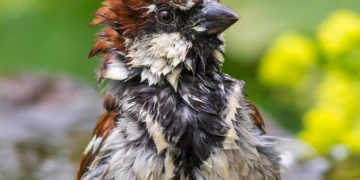 Multivisionsabende mit Roland Günter im Augustinum