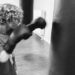 Boxen und Bewegung für KIDS