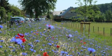 „Büchen macht Grün“ im Cafe´ in der Priesterkate