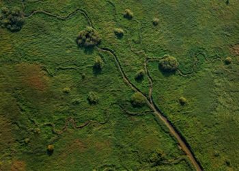 Frühjahrsausstellung nimmt die Natur in den Blick