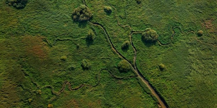 Frühjahrsausstellung nimmt die Natur in den Blick