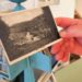 „Hier ist es herrlich…“ – über 100 Jahre Tourismus in Geesthacht