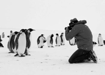  „Rückkehr zum Land der Pinguine“