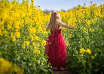 Ideen für eine enkeltaugliche Landwirtschaft